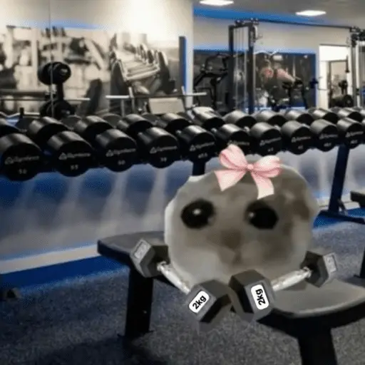 Կպչուն պիտակ